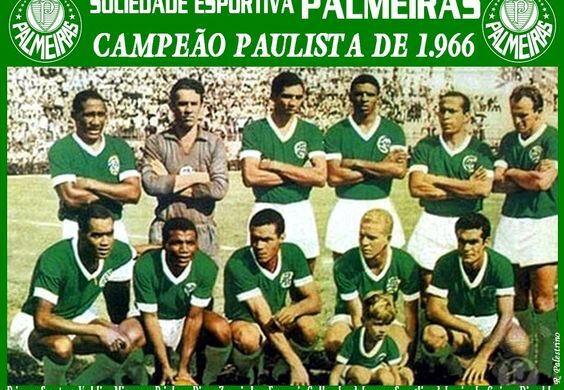 As Academias do Palmeiras: 1959-1974